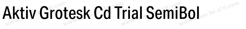 Aktiv Grotesk Cd Trial SemiBold字体转换